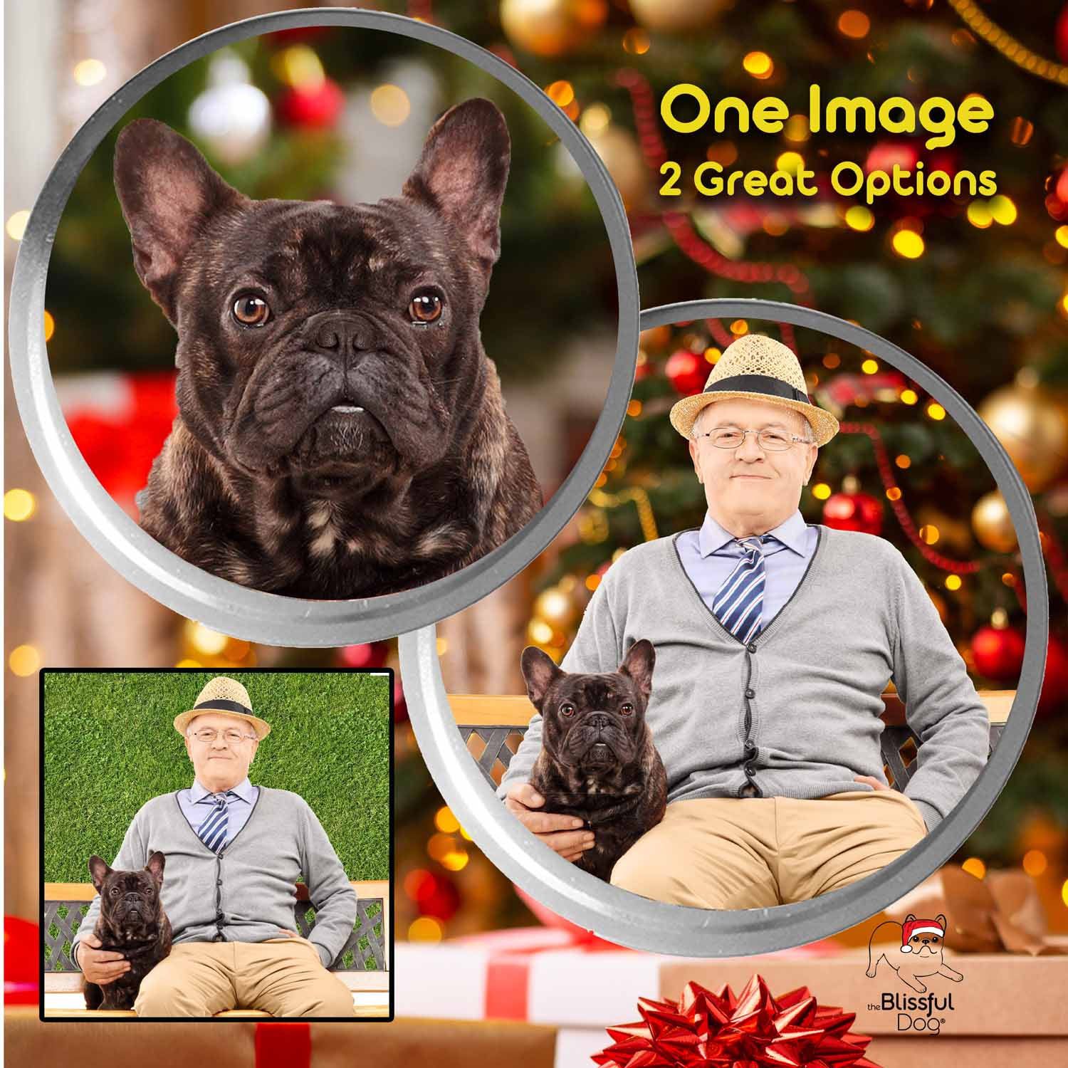 french bulldog senior man